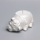 Свеча "Бульдог" в подсвечнике из гипса,8х12х4,5см, белый перламутр - фото 23137403