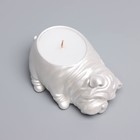 Свеча "Бульдог" в подсвечнике из гипса,8х12х4,5см, белый перламутр - фото 23137405