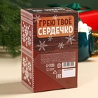 Горячий шоколад в коробке «Эта зима точно будет тёплой», 125 г (5 шт. х 25 г). 9843034 - фото 13525723