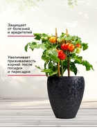 Микориза на вермикулите «Рецепты Дедушки Никиты», 1 л - Фото 2