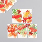 Бирка картон "Осень Рябина" набор 10 шт (5 видов) 4х6 см - фото 320489149