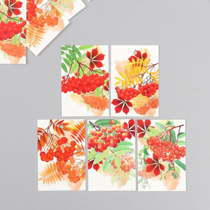 Бирка картон "Осень Рябина" набор 10 шт (5 видов) 4х6 см - Фото 1