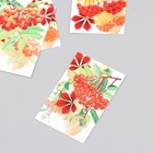 Бирка картон "Осень Рябина" набор 10 шт (5 видов) 4х6 см - Фото 3