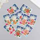 Бирка картон "Сладкого НГ" набор10 шт (5 видов) 4х6 см - фото 25305990