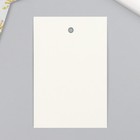 Бирка картон "Новогоднее настроение" 5х7 см (комплект 20 шт) - фото 25305998