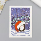 Бирка картон "Пингвин" 5х7 см - фото 11500505