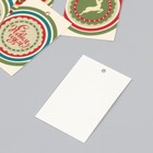 Бирка картон "НГ Кругляши" набор 10 шт (5 видов) 4х6 см - фото 24442790