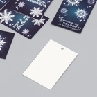 Бирка картон "Снежинка" набор 10 шт (5 видов) 4х6 см (комплект 2 шт) - фото 27146033