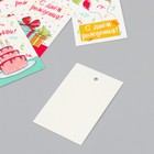 Бирка картон "День рождения" набор 10 шт (5 видов) 4х6 см - фото 9612519