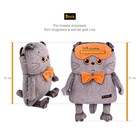Мягкая игрушка-подушка «Кот в свитере с косами», 32 см - фото 9612528