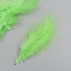 Набор декоративных перьев "Рукоделие", 20 шт (лаймовый цвет), длина пера 13-16 см - фото 23180408