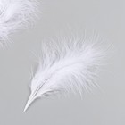Набор декоративных перьев "Рукоделие", 20 шт (белый цвет), длина пера 13-16 см - фото 24305487