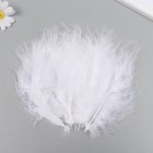 Набор декоративных перьев "Рукоделие", 20 шт (белый цвет), длина пера 13-16 см - фото 24305488