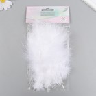 Набор декоративных перьев "Рукоделие", 20 шт (белый цвет), длина пера 13-16 см - фото 24305489