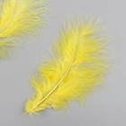 Набор декоративных перьев "Рукоделие", 20 шт (желтый цвет), длина пера 13-16 см - фото 8512204