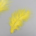 Набор декоративных перьев "Рукоделие", 20 шт (желтый цвет), длина пера 13-16 см - фото 8512205