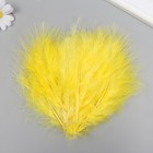 Набор декоративных перьев "Рукоделие", 20 шт (желтый цвет), длина пера 13-16 см - фото 8512206