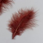 Набор декоративных перьев "Рукоделие", 20 шт (коричневый цвет), длина пера 13-16 см - фото 320489899