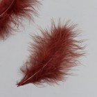 Набор декоративных перьев "Рукоделие", 20 шт (коричневый цвет), длина пера 13-16 см - фото 8512209