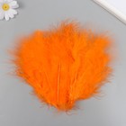 Набор декоративных перьев "Рукоделие", 20 шт (оранжевый цвет), длина пера 13-16 см - Фото 3