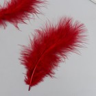 Набор декоративных перьев "Рукоделие", 20 шт (темно-красный цвет), длина пера 13-16 см - фото 11514589