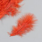 Набор декоративных перьев "Рукоделие", 20 шт (темно-оранжевый цвет), длина пера 13-16 см - фото 320489939