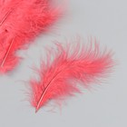 Набор декоративных перьев "Рукоделие", 20 шт (терракотовый цвет), длина пера 13-16 см