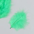 Набор декоративных перьев "Рукоделие", 20 шт (травяной цвет), длина пера 13-16 см - фото 2904564