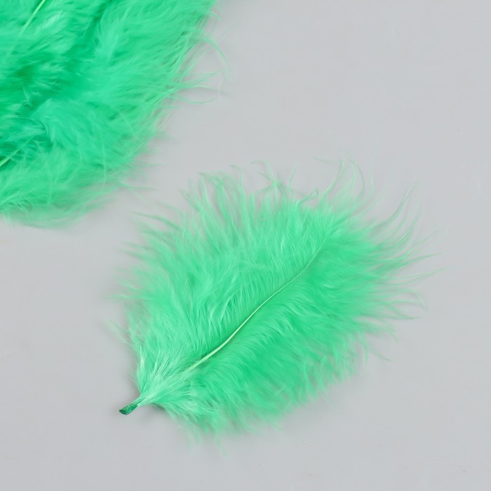 Набор декоративных перьев "Рукоделие", 20 шт (травяной цвет), длина пера 13-16 см