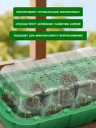 Мини - парник для рассады, 24×12×11 см, 11 ячеек под таблетки для рассады d=3 см, пластик, Greengo - Фото 3