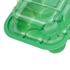 Мини - парник для рассады, 24×12×11 см, 11 ячеек под таблетки для рассады d=3 см, пластик, Greengo - Фото 4