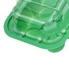 Мини - парник для рассады, 24×12×11 см, 11 ячеек под таблетки для рассады d=3 см, пластик, Greengo - Фото 7