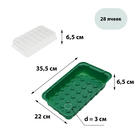 Мини-парник для рассады, 35,5 × 22 × 11 см, вставки (28 шт.) под таблетки для рассады d = 4 см - фото 11904276