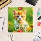 Календарь перекидной на скрепке "Весёлые котята" 2024 год, 6 листов, 29х29 см - Фото 1