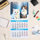 Календарь перекидной на скрепке "Весёлые котята" 2024 год, 6 листов, 29х29 см - Фото 2