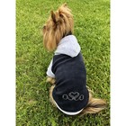 Толстовка с капюшоном Osso для собак, велюр, размер 20 (ДС 20 см, ОГ 30-32 см), графит - Фото 1