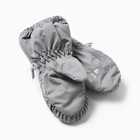 Рукавицы детские, цвет серый, размер 10 (1-2 года) - фото 23213494