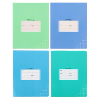 Тетрадь 24 листа в клетку "Школьная", обложка мелованный картон, блок офсет, МИКС