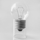 Лампа накаливания ДШ 40Вт E27 (верс.) Лисма 321601300 - фото 4340289