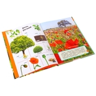 Лучшая энциклопедия «Мир растений» - Фото 2