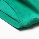 Костюм для мальчиков (свитшот, брюки), НАЧЁС, цвет зелёный, рост 92 см - фото 23378443