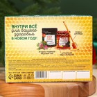 Подарочный набор «С новым годом: Крепкого иммунитета»: алтайский мёд с пыльцой 240 г., ягодно-травяной чай 50 г., ложка для мёда - Фото 6