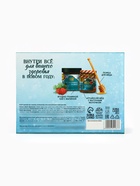 Подарочный набор новогодний «Сказка», мёд с маточным молочком 250 г, чай 50 г, ложка - Фото 10