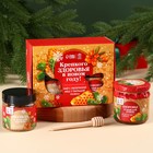 Подарочный набор «С новым годом: Крепкого здоровья»: алтайский мёд с пыльцой 240 г., ягодно-травяной чай с облепихой 50 г., ложка для мёда - фото 320491530