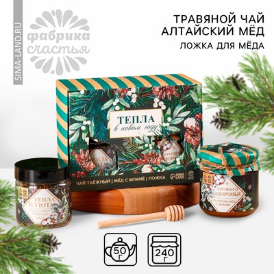 Подарочный набор «Новый год: Тепла в новом году»: алтайский мёд с мумиё 240 г., ягодно-травяной чай 50 г., ложка для мёда