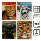 Комплект тетрадей из 4 штук, 48 листов в клетку Calligrata "Дикие кошки", обложка мелованный картон, блок №2, белизна 75% (серые листы) - фото 320491627