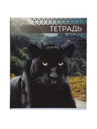 Комплект тетрадей, 48 листов в клетку, Calligrata «Дикие кошки», серые листы, 4 штуки 9243537 - фото 5743686