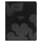 Комплект тетрадей из 5 штук, 48 листов в клетку Calligrata "Графика", обложка мелованный картон, ТВИН-лак + выборочный УФ-лак, блок офсет - фото 23843467