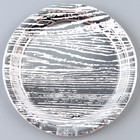 Тарелка бумажная «Полосы», в наборе 6 шт., цвет серебро - фото 11452176