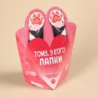 Печенье ванильное в коробке «Тому, у кого лапки», 42 г (4 шт. х 10,5 г). - фото 23137953